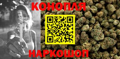 сатива Гусиноозёрск