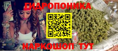 мяу мяу мука Гусев