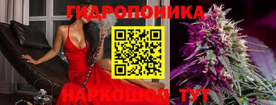 мяу мяу мука Гусев