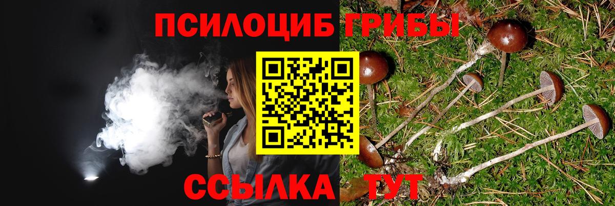 Псилоцибиновые грибы Magic Shrooms  Вход с VPN  Минеральные Воды  Галлюциногенные грибы GOLDEN TEACHER 