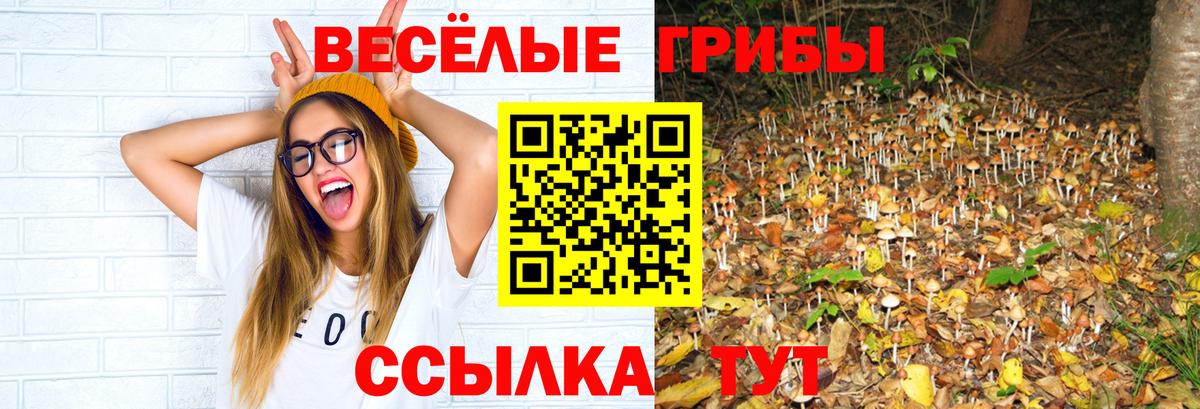 Псилоцибиновые грибы мухоморы Минеральные Воды